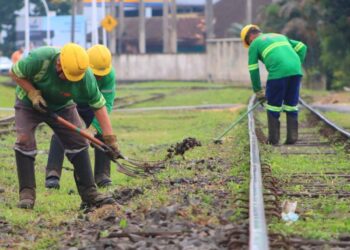 Rumo começa remoção de grãos derramados na linha férrea em Jaraguá do Sul