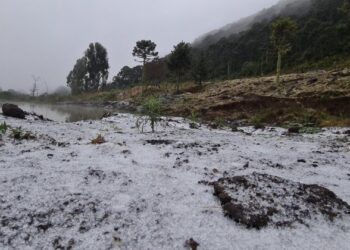 Neve pode ser vista em mais de 20 cidades de Santa Catarina nesta terça-feira (29)