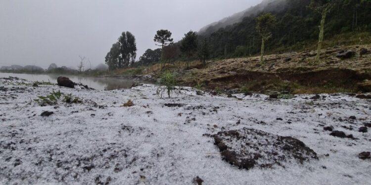 Neve pode ser vista em mais de 20 cidades de Santa Catarina nesta terça-feira (29)