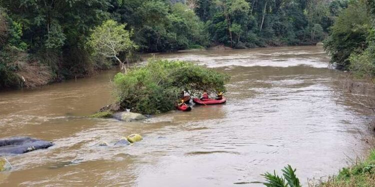 Homem tenta resgatar pato de estimação e desaparece em rio em Santa Catarina