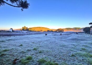 SC tem terceiro dia de neve consecutivo