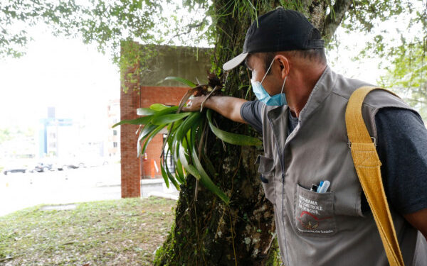 Joinville confirma quarta morte por dengue