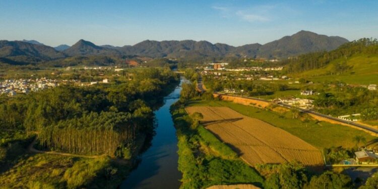 Dicas para um fim de semana de aniversário