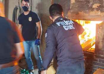 Cerca de 200 quilos de drogas são incinerados em Jaraguá do Sul