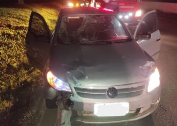 Ciclista morre após ser atropelado na BR-101, em Barra Velha