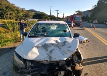 Motociclista morre em acidente na Rodovia do Arroz, em Guaramirim