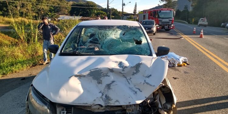 Motociclista morre em acidente na Rodovia do Arroz, em Guaramirim