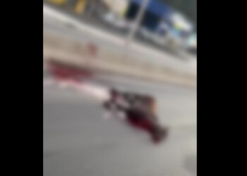 Cavalo morre após ser atingido na BR-280, em Guaramirim