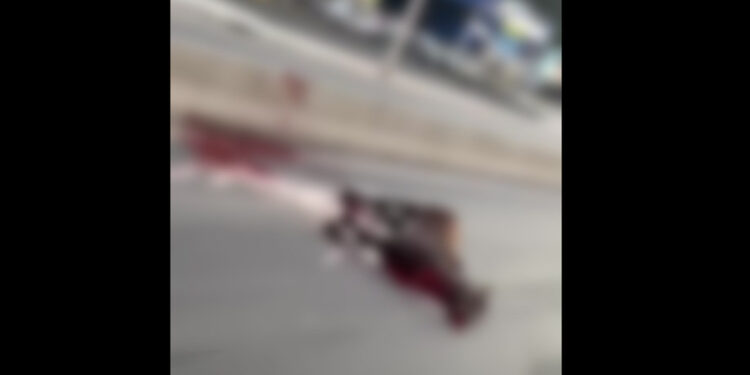 Cavalo morre após ser atingido na BR-280, em Guaramirim