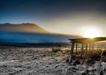 Frio intenso: Secretaria de Desenvolvimento Rural orienta agricultores em Jaraguá do Sul