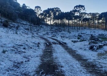Semana começa com calor e termina com frio intenso em SC