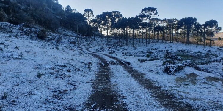 Semana começa com calor e termina com frio intenso em SC