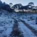 Semana começa com calor e termina com frio intenso em SC
