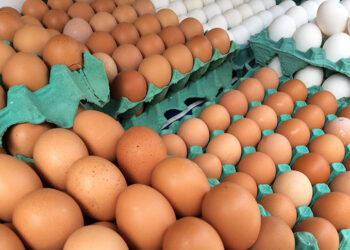 Ovo, frango e porco podem ter reajuste de até 50%