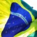 Inteligência da PM monitora apoio de policiais a atos previstos para o dia 7 de setembro