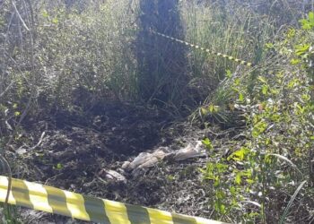 Corpo decapitado é encontrado em Balneário Barra do Sul
