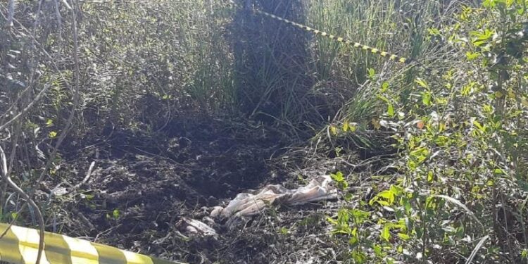 Corpo decapitado é encontrado em Balneário Barra do Sul