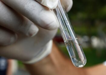 Secretaria da Saúde confirma quinta morte por dengue em Joinville