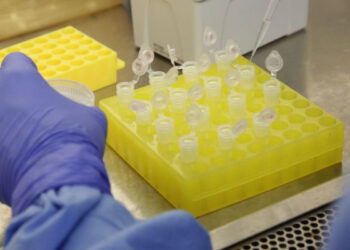 Schroeder fará ação para testes rápidos em pessoas sem sintomas nesta quarta (4) e quinta-feira (5)