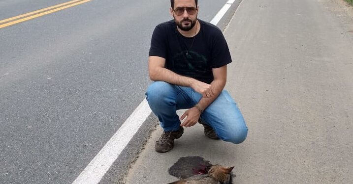 Fujama faz alerta sobre atropelamentos de animais silvestres