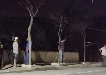 Homem é amarrado em árvore após furtar bicicleta em SC