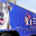 Fujama: 162 animais inscritos para castrações gratuitas no Jaraguá 84