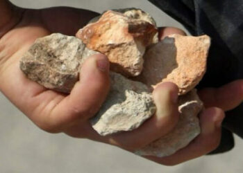 Idoso é autuado por atacar pedra na residência da vizinha em Jaraguá do Sul