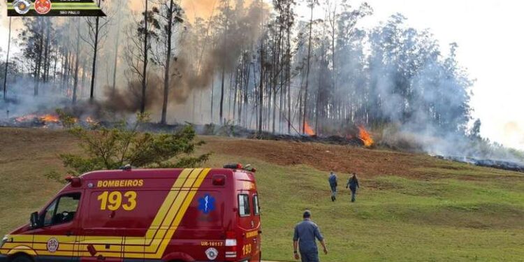Sete pessoas morrem em queda de aeronave em Piracicaba (SP)