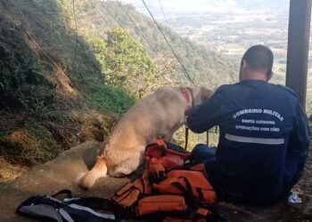 Com apoio de cão farejador, equipes intensificam buscas às margens de rio em Schroeder