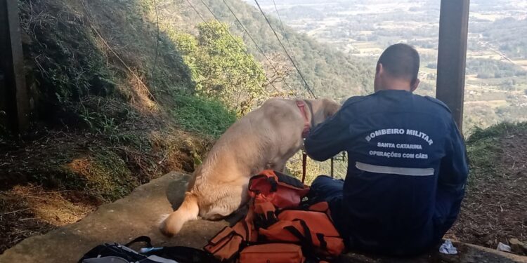 Com apoio de cão farejador, equipes intensificam buscas às margens de rio em Schroeder