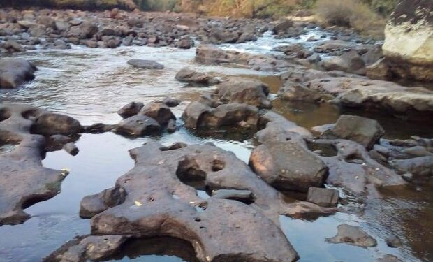 Boletim aponta agravamento da estiagem em Santa Catarina