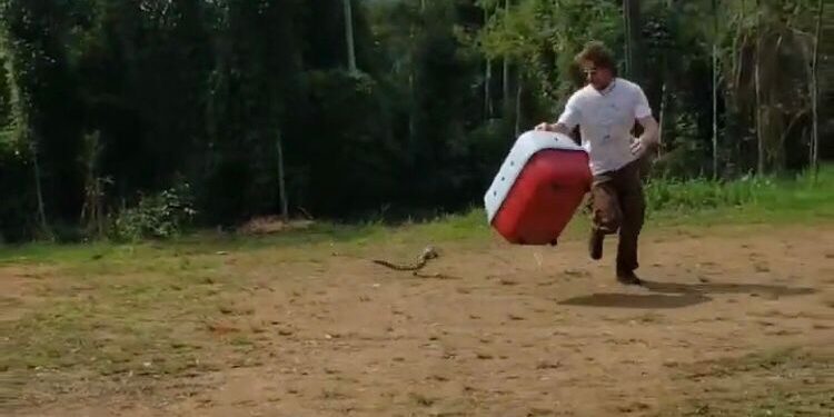 [Vídeo] lagarto é resgatado em motor de carro da Prefeitura de Jaraguá do Sul