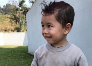 Menino de 2 anos morre após ser picado por animal peçonhento em SC