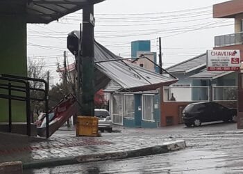 Temporal destelha casas, derruba árvores e causa apagão em cidades do Oeste de SC