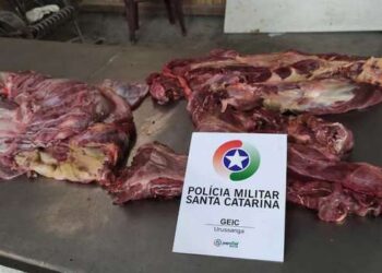 É falsa notícia sobre apreensão de carne de cachorro em SC
