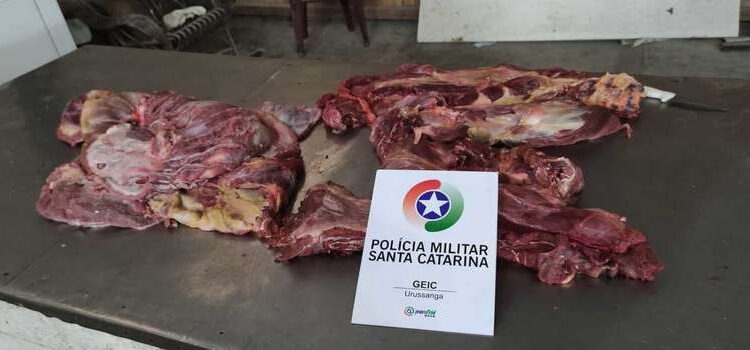 É falsa notícia sobre apreensão de carne de cachorro em SC