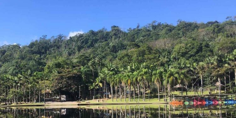 Parque Malwee completa 43 anos