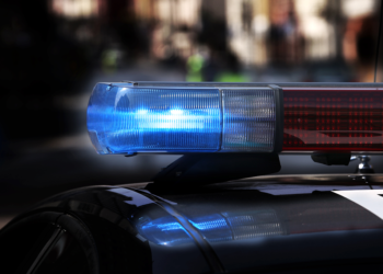 Traficante é preso após cão policial encontrar crack em Jaraguá do Sul