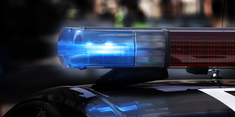 Traficante é preso após cão policial encontrar crack em Jaraguá do Sul
