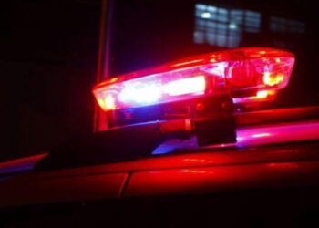 Dono é autuado após seu cachorro matar outro cão em Guaramirim