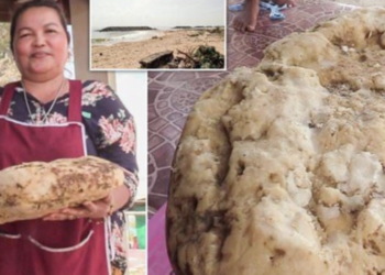 Mulher fica milionária após encontrar vômito de baleia