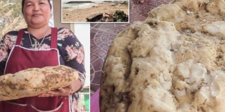 Mulher fica milionária após encontrar vômito de baleia