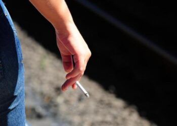 Santa Catarina pode proibir cigarro em parques públicos