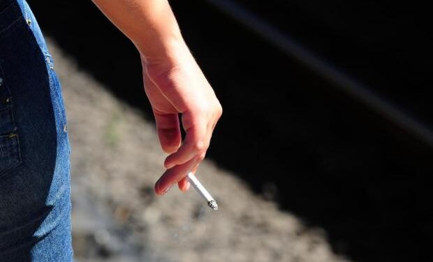 Santa Catarina pode proibir cigarro em parques públicos