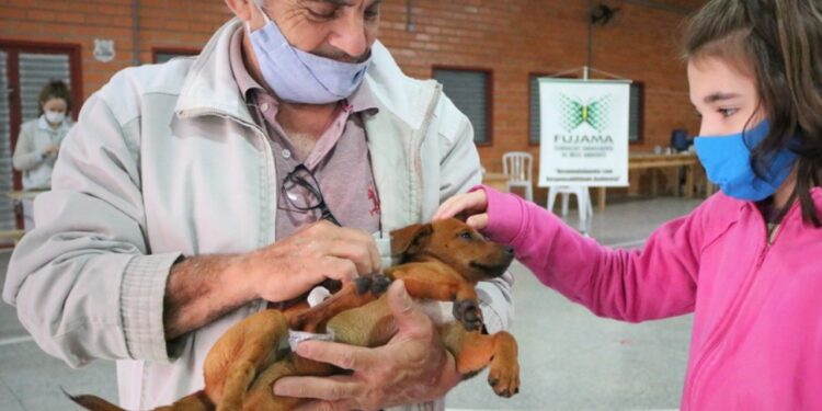 Abertas inscrições para nova castração de cães e gatos em Jaraguá do Sul