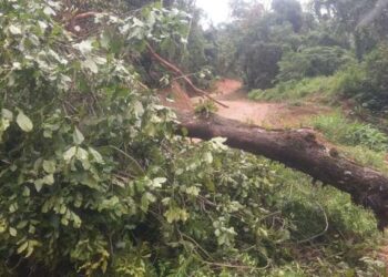 Rua fica parcialmente interditada após deslizamento de terra em Jaraguá do Sul