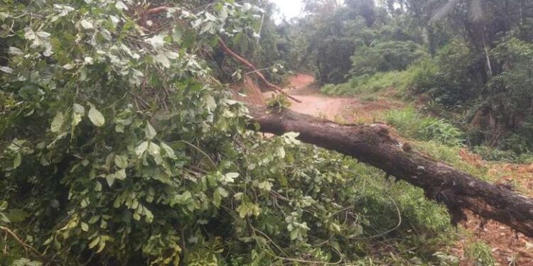 Rua fica parcialmente interditada após deslizamento de terra em Jaraguá do Sul