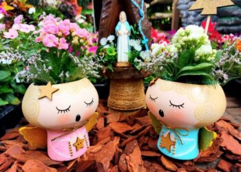 Floricultura Nó de Pinho promove live em prol de entidades que ajudam animais