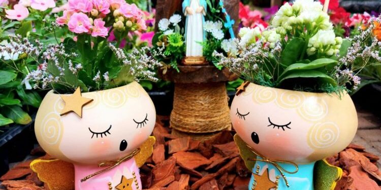 Floricultura Nó de Pinho promove live em prol de entidades que ajudam animais