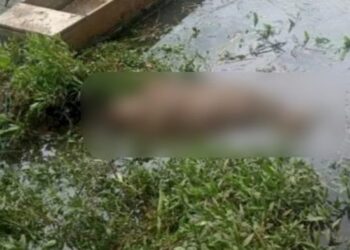 Corpo é achado com correntes, cabo de aço, fita na cabeça e pedra nos pés em SC